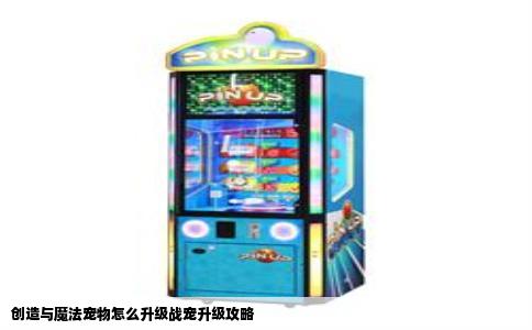 创造与魔法宠物怎么升级战宠升级攻略