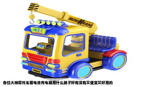 各位大神摩托车蓄电池充电器用什么牌子好有没有又便宜又好用的