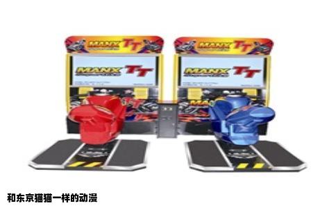 和东京猫猫一样的动漫