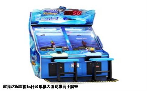 就我这配置能玩什么单机大游戏求高手解答