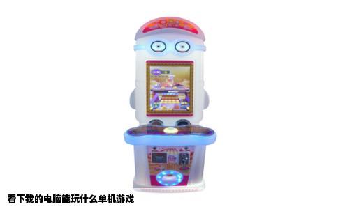 看下我的电脑能玩什么单机游戏