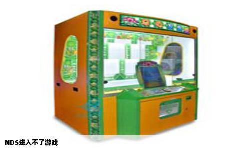 NDS进入不了游戏