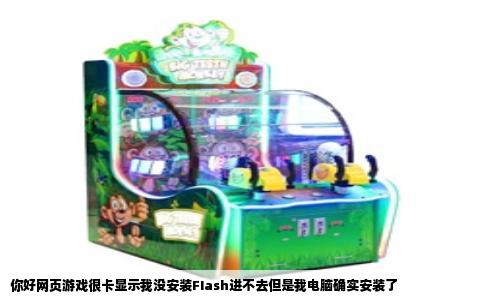你好网页游戏很卡显示我没安装FIash进不去但是我电脑确实安装了