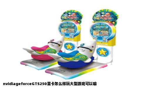 nvidiageforceGTS250显卡怎么样玩大型游戏可以嘛