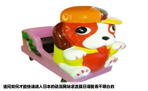 请问如何才能快速进入日本的动漫网站求流程日语我看不明白的