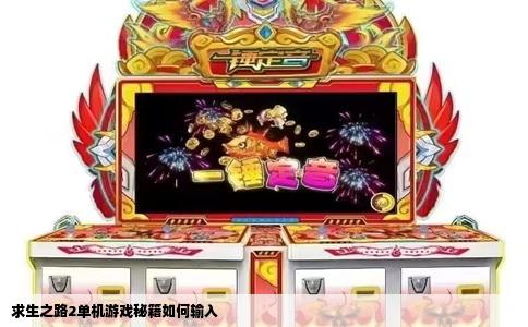 求生之路2单机游戏秘籍如何输入