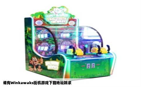 谁有Winkawaks街机游戏下载地址跪求
