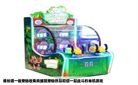 谁知道一些宠物收集类捕捉宠物然后和你一起战斗的单机游戏