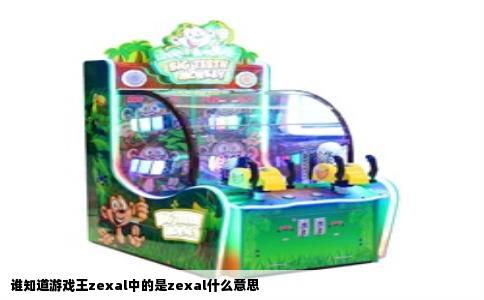谁知道游戏王zexal中的是zexal什么意思