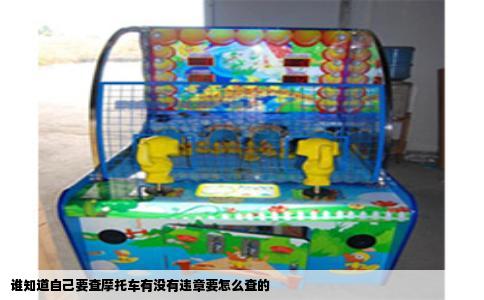 谁知道自己要查摩托车有没有违章要怎么查的