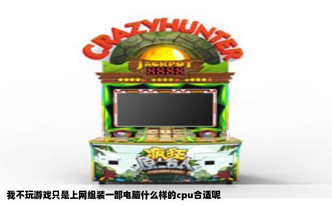 我不玩游戏只是上网组装一部电脑什么样的cpu合适呢