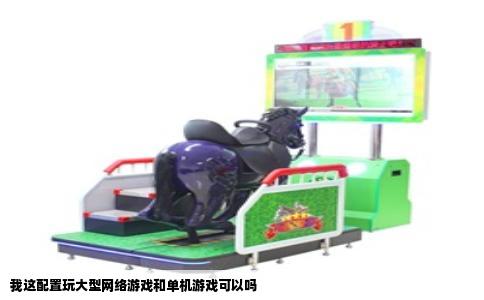 我这配置玩大型网络游戏和单机游戏可以吗
