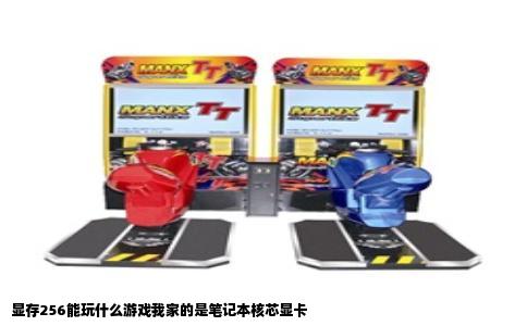 显存256能玩什么游戏我家的是笔记本核芯显卡