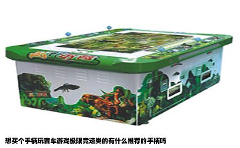 想买个手柄玩赛车游戏极限竞速类的有什么推荐的手柄吗