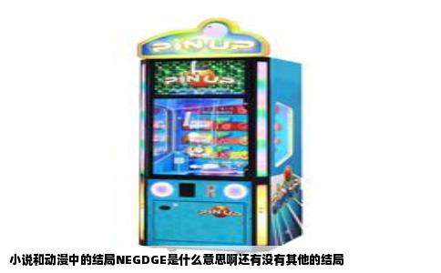 小说和动漫中的结局NEGDGE是什么意思啊还有没有其他的结局