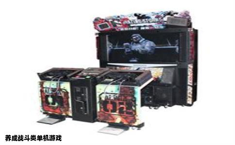 养成战斗类单机游戏