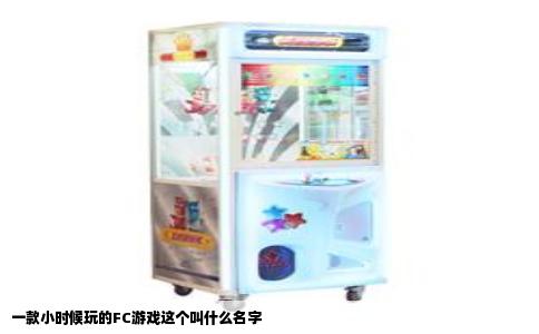 一款小时候玩的FC游戏这个叫什么名字