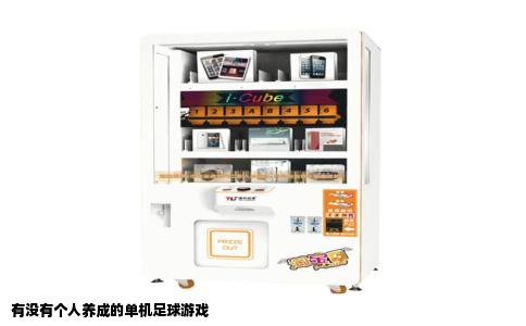 有没有个人养成的单机足球游戏