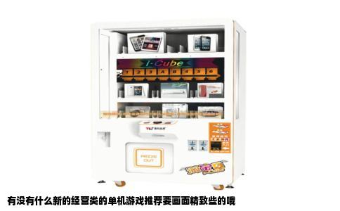 有没有什么新的经营类的单机游戏推荐要画面精致些的哦