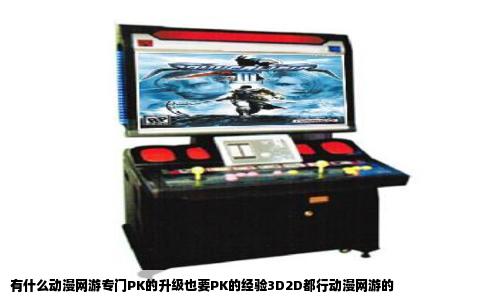 有什么动漫网游专门PK的升级也要PK的经验3D2D都行动漫网游的