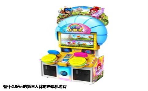 有什么好玩的第三人称射击单机游戏