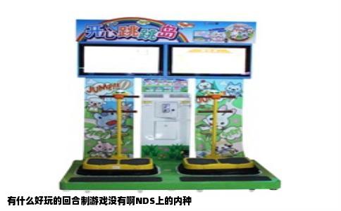 有什么好玩的回合制游戏没有啊NDS上的内种