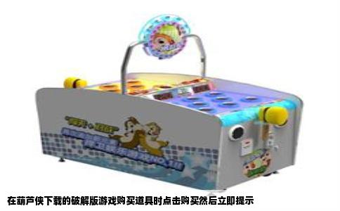 在葫芦侠下载的破解版游戏购买道具时点击购买然后立即提示