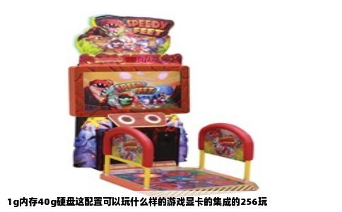 1g内存40g硬盘这配置可以玩什么样的游戏显卡的集成的256玩