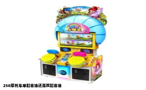 250摩托车单缸省油还是双缸省油