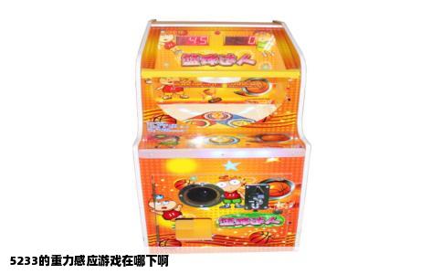 5233的重力感应游戏在哪下啊