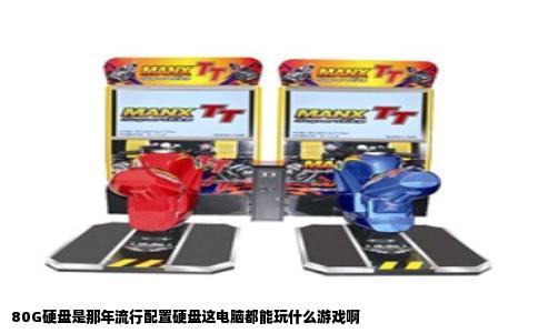 80G硬盘是那年流行配置硬盘这电脑都能玩什么游戏啊