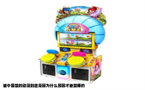 被中国禁的动漫到底是因为什么原因才被禁播的