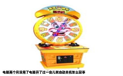 电脑两个月没用了电脑开了过一会儿就自动关机怎么回事