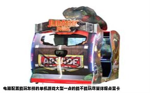 电脑配置能玩怎样的单机游戏大型一点的能不能玩尽量详细点显卡