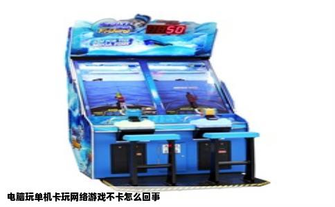 电脑玩单机卡玩网络游戏不卡怎么回事