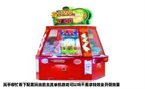 高手帮忙看下配置玩当前主流单机游戏可以吗不要求特效全开但效果