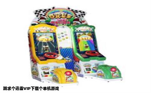 跪求个迅雷VIP下载个单机游戏