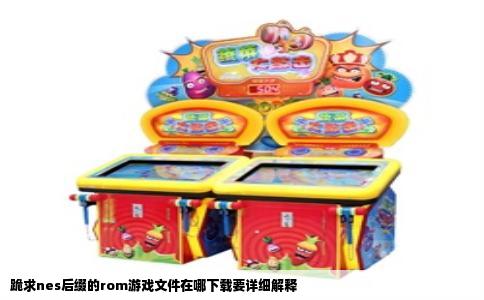 跪求nes后缀的rom游戏文件在哪下载要详细解释
