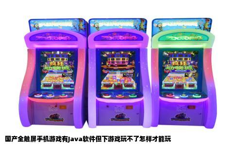 国产全触屏手机游戏有Java软件但下游戏玩不了怎样才能玩