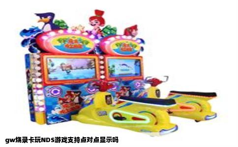 gw烧录卡玩NDS游戏支持点对点显示吗