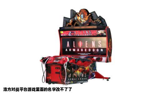 浩方对战平台游戏里面的名字改不了了