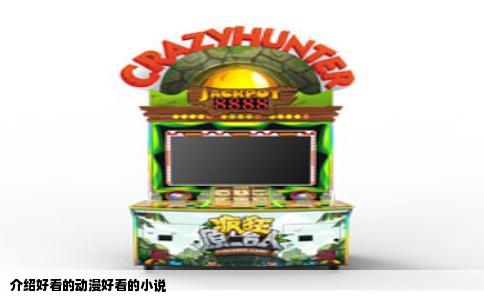 介绍好看的动漫好看的小说