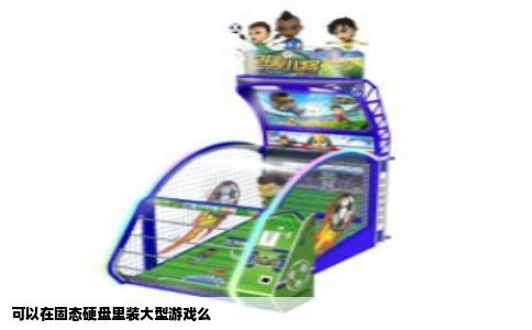 可以在固态硬盘里装大型游戏么