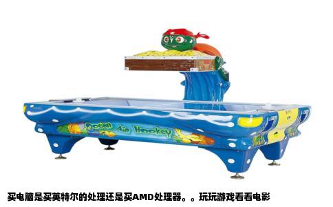 买电脑是买英特尔的处理还是买AMD处理器。。玩玩游戏看看电影
