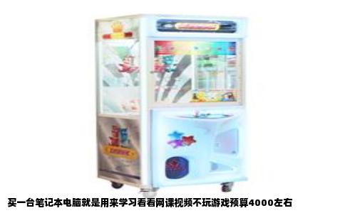买一台笔记本电脑就是用来学习看看网课视频不玩游戏预算4000左右