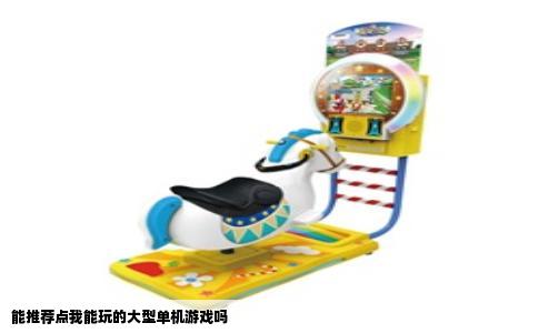 能推荐点我能玩的大型单机游戏吗