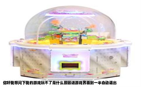 你好我想问下我的游戏玩不了是什么原因进游戏界面到一半自动退出