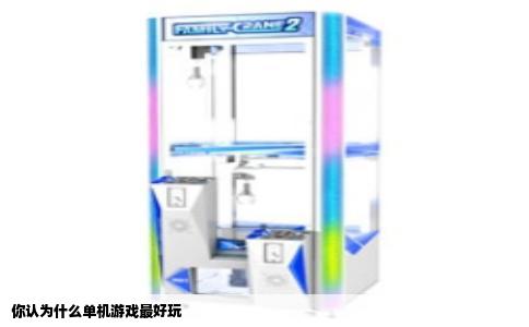 你认为什么单机游戏最好玩