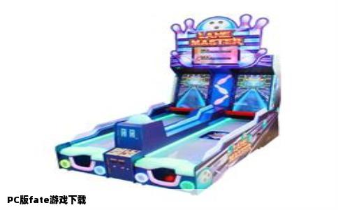 PC版fate游戏下载