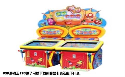 PSP游戏王TF3除了可以下载新的禁卡表还能下什么